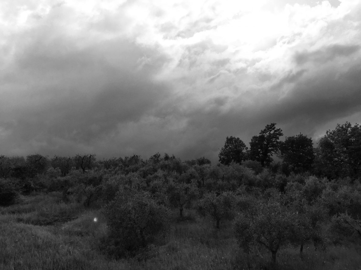 fullsizeoutput_5d3